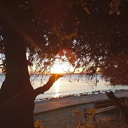 Fjaka Appartamento Petrcane